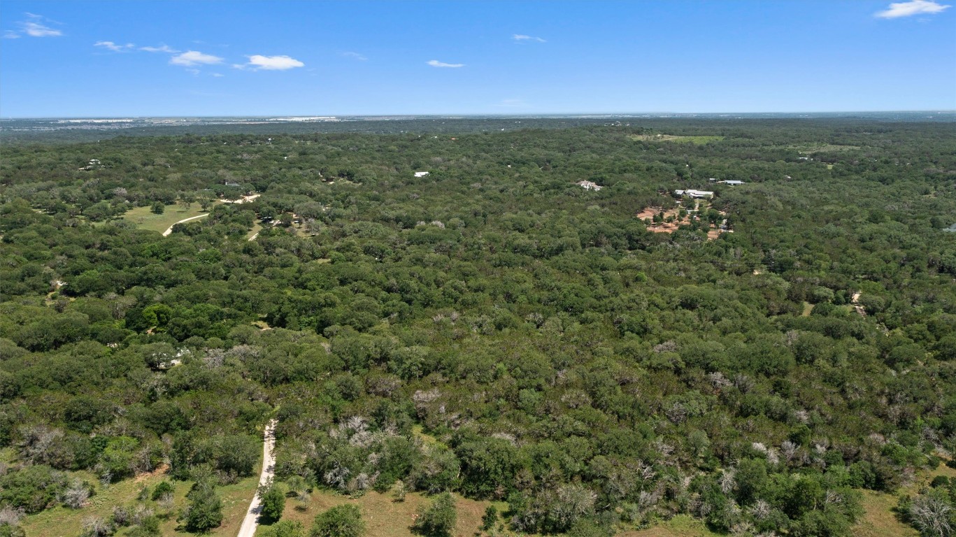 419 Valley View West Road San Marcos, TX 78666 - Photo 19 of 20 a view of a city with lush green forest