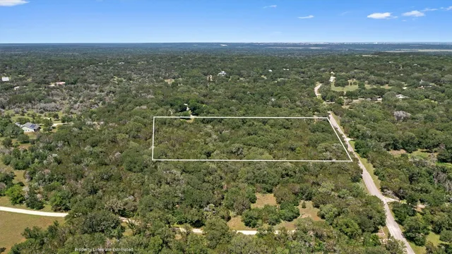 a view of a lush green forest