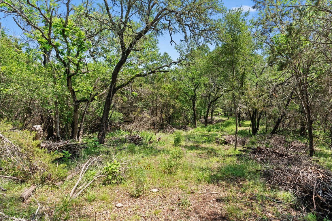 419 Valley View West Road San Marcos, TX 78666 - Photo 7 of 20 a big yard with lots of green space and trees