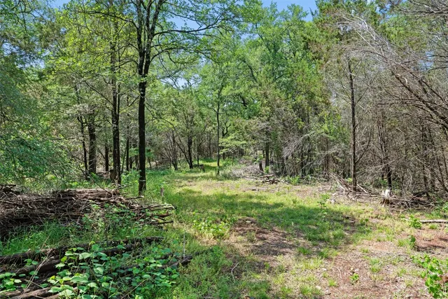 a big yard with lots of green space and deers