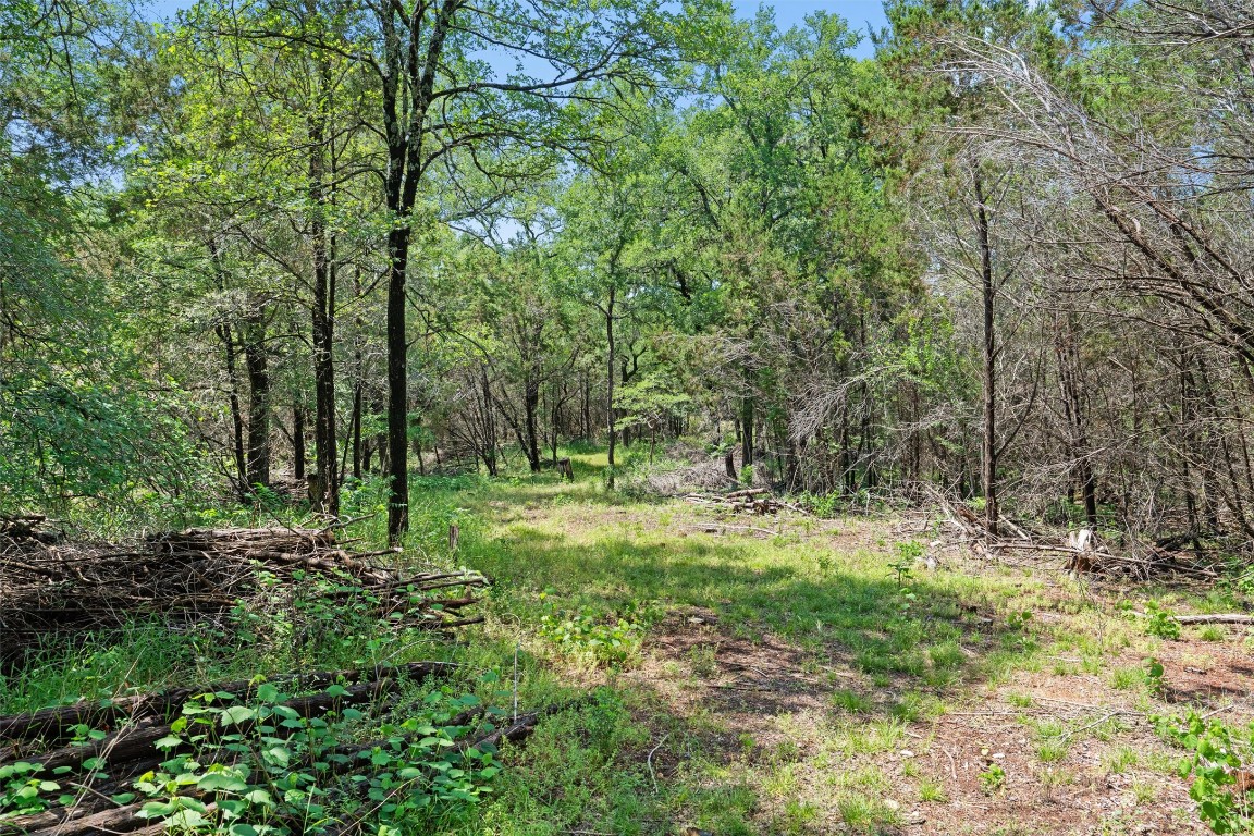 419 Valley View West Road San Marcos, TX 78666 - Photo 8 of 20 a view of outdoor space with trees all around