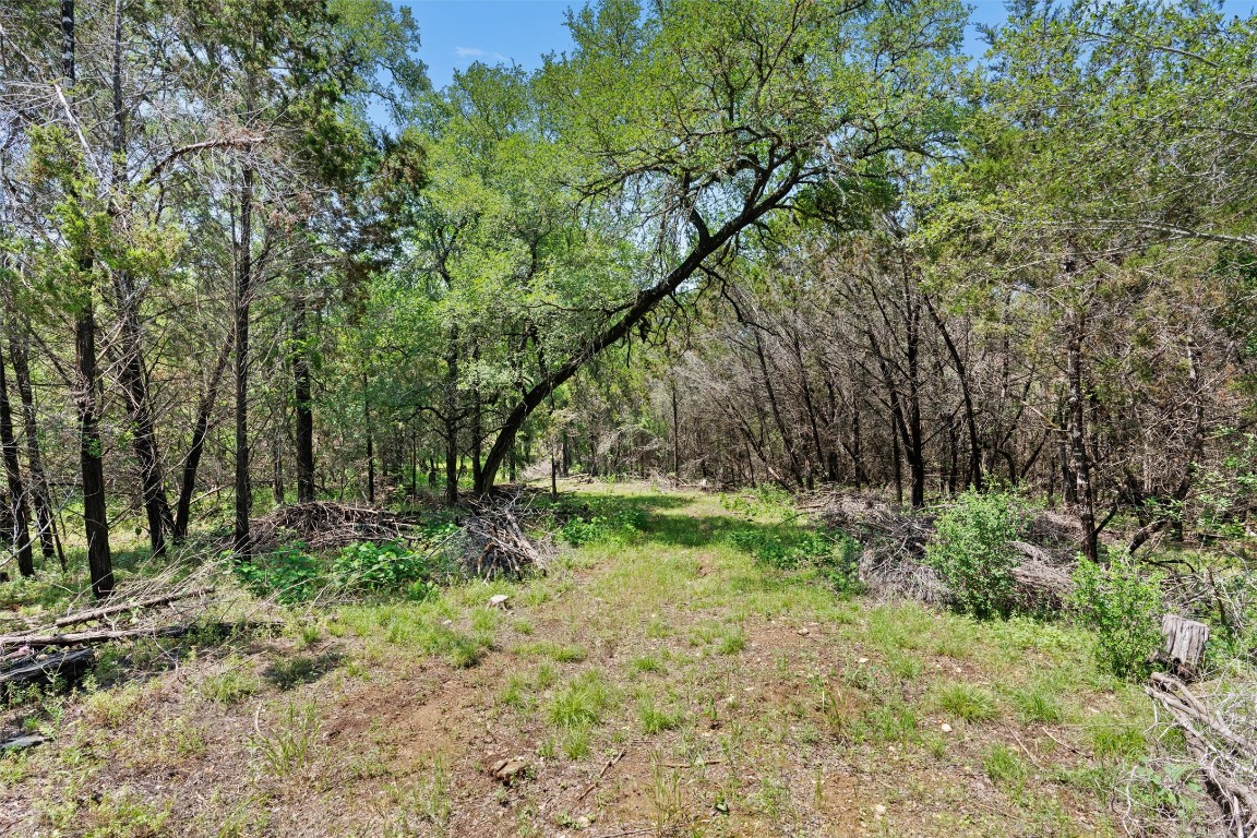 419 Valley View West Road San Marcos, TX 78666 - Photo 9 of 20 a big yard with lots of green space and deers