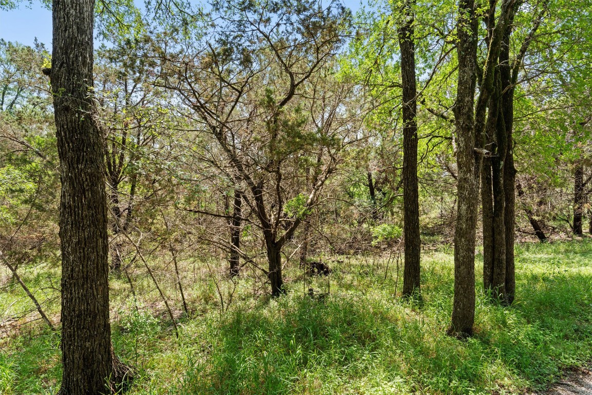 419 Valley View West Road San Marcos, TX 78666 - Photo 10 of 20 a view of outdoor space and trees