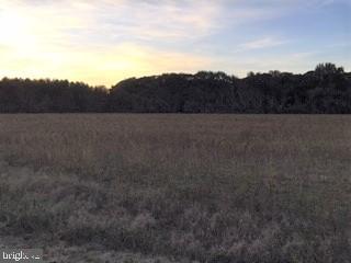 Lot 4 Adkins Road Delmar, MD 21875 - Photo 2 of 3 Gallery Image 2