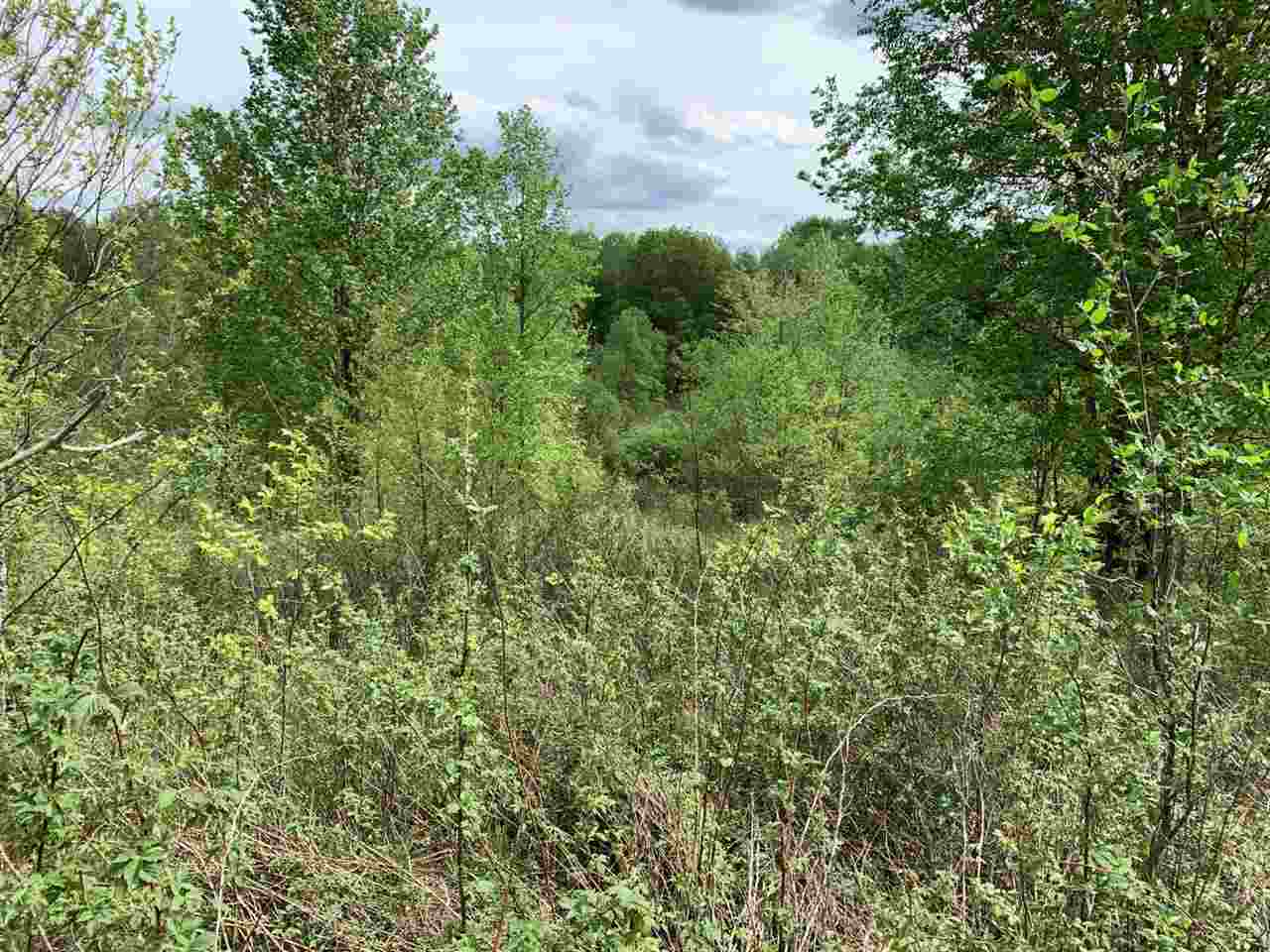 40 South 17 Road Boon, MI 49618 - Photo 12 of 33