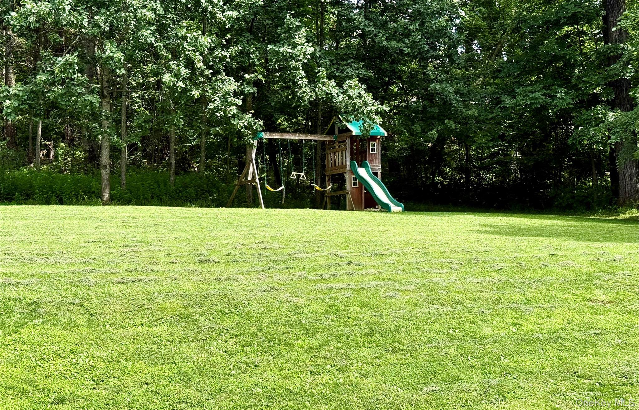 125 Sheldon Road Wingdale, NY 12594 - Photo 11 of 35 Swing set, fort & slide!