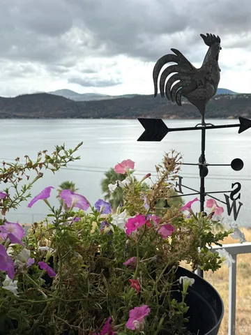 a front view of a house with yard