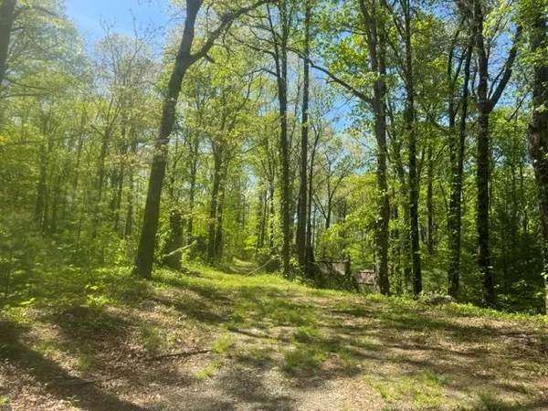 a view of outdoor space with trees