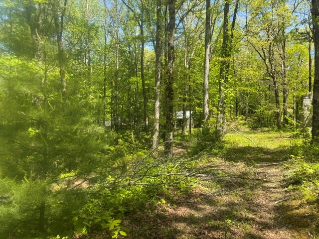 557 Shelton Road Suches, GA 30572 - Photo 12 of 16 a view of lake view