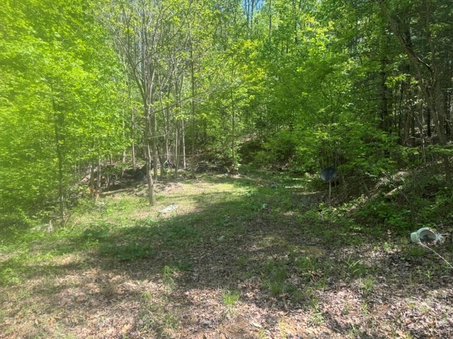 557 Shelton Road Suches, GA 30572 - Photo 3 of 16 a view of outdoor space and trees