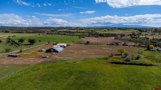 a view of a garden with mountain view