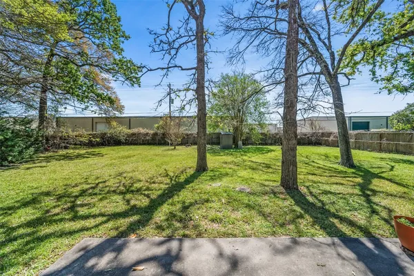 a view of backyard with tree