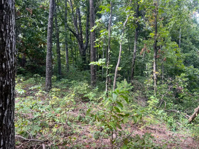 a garden view with a sitting space