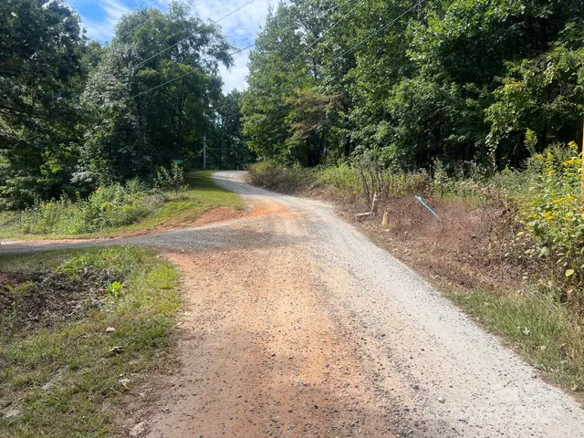 a view of a yard with plants and trees