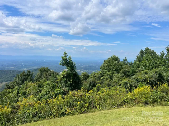 a view of a lake with a yard