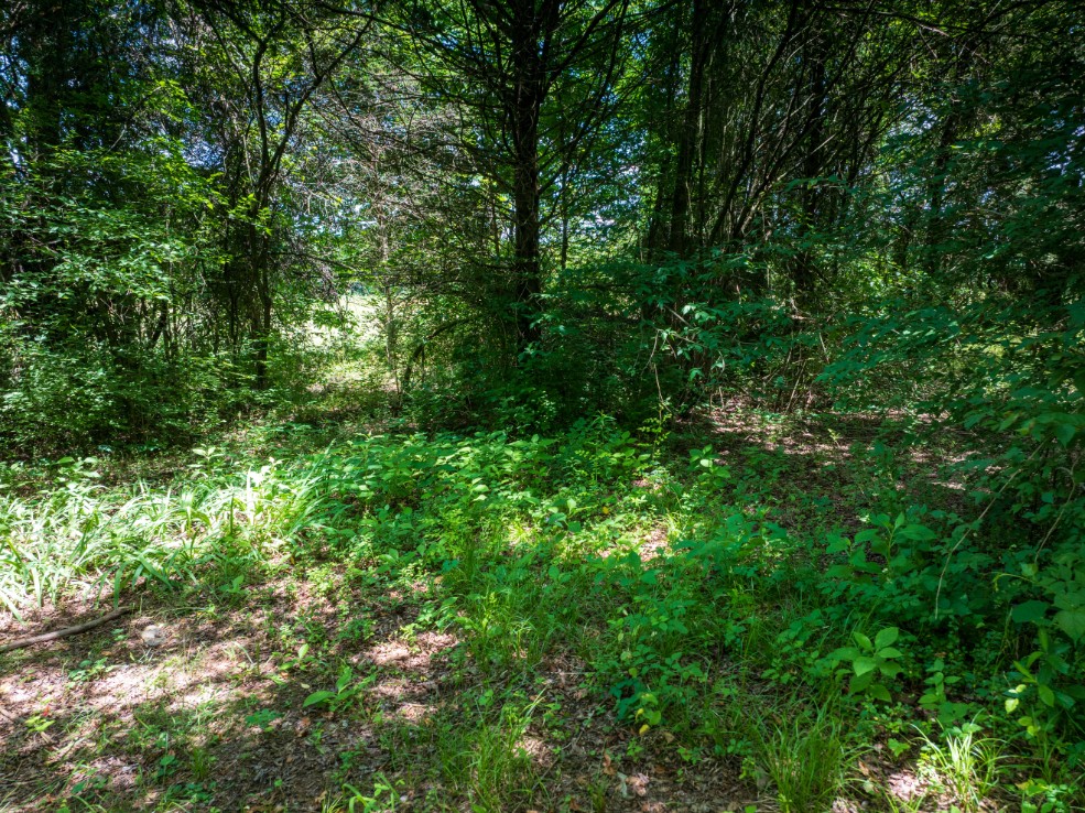 0 McGhee Road Greenback, TN 37742 - Photo 27 of 40
