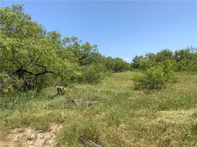 $294,000 | Undisclosed Address, Sinton, TX 78387