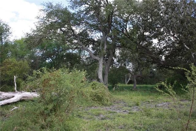 $294,000 | Undisclosed Address, Sinton, TX 78387