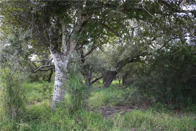 $294,000 | Undisclosed Address, Sinton, TX 78387