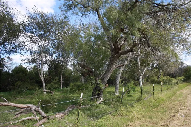 $294,000 | Undisclosed Address, Sinton, TX 78387