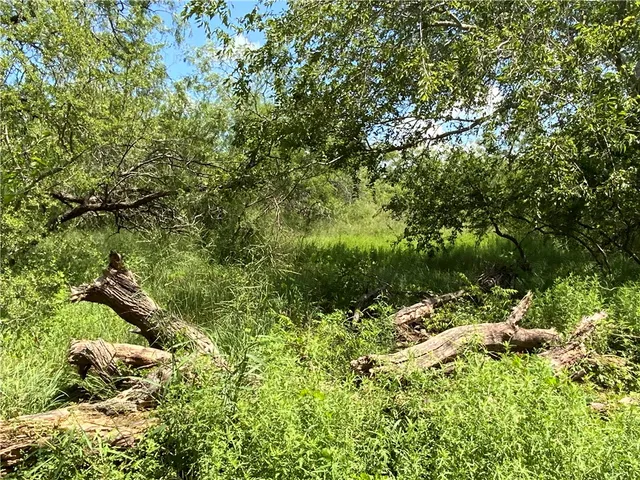 $294,000 | Undisclosed Address, Sinton, TX 78387