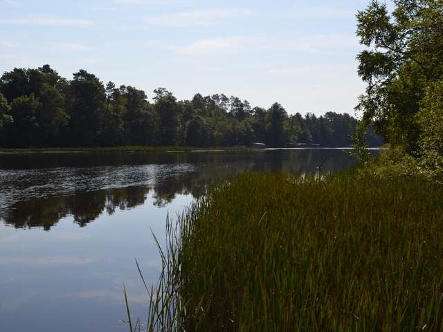On Tomahawk River Road Tomahawk, WI 54487 - Photo 17 of 20 Gallery Image 17