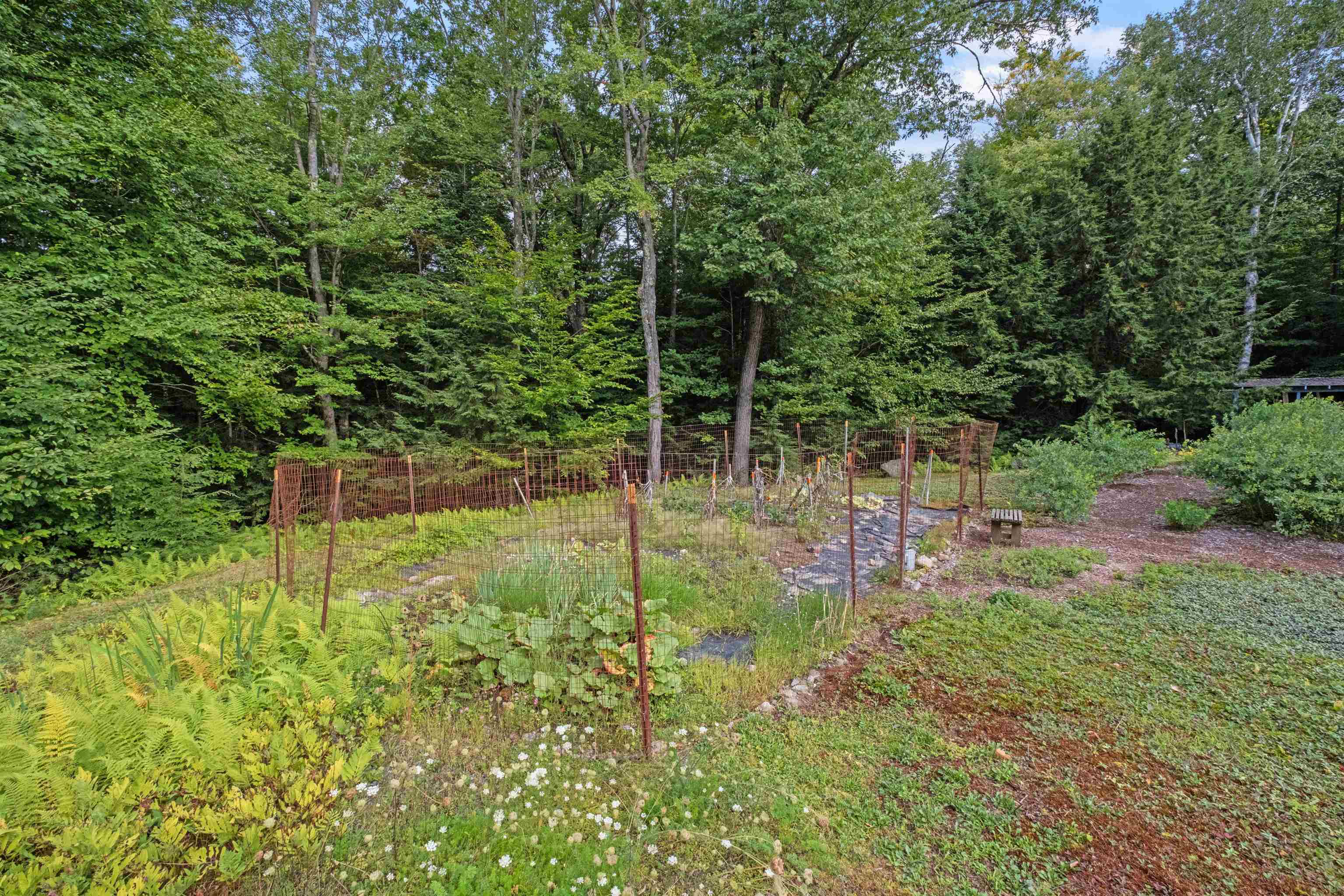 27 Bowles Road Newbury, NH 03255 - Photo 33 of 42 Gallery Image 33