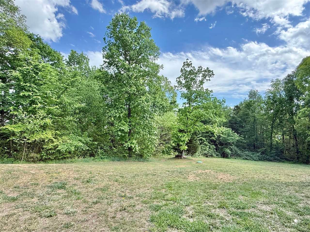 182 Doe Run Road Morgantown, KY 42261 - Photo 3 of 99 Gallery Image 3