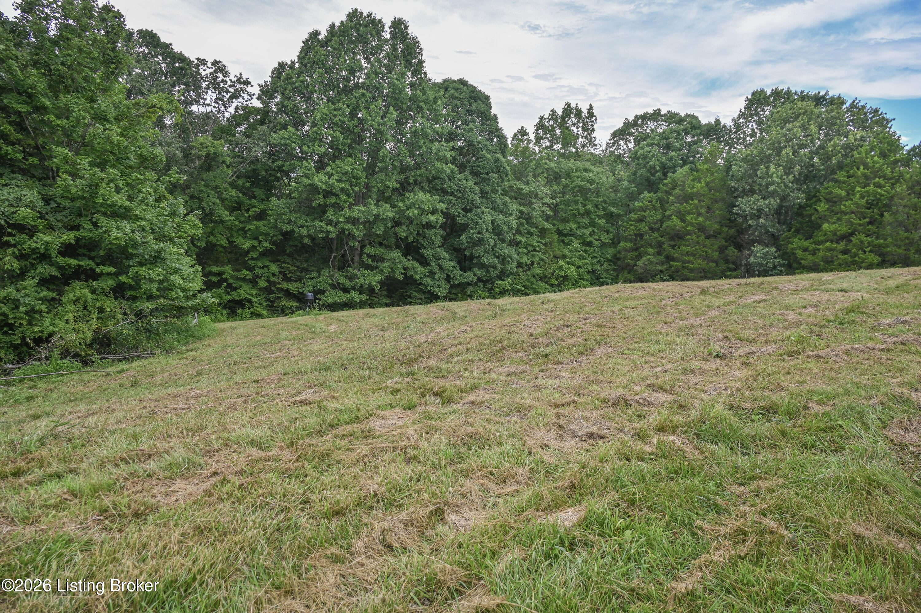 654 Gest Road Pleasureville, KY 40057 - Photo 32 of 44 21-DSC_2054