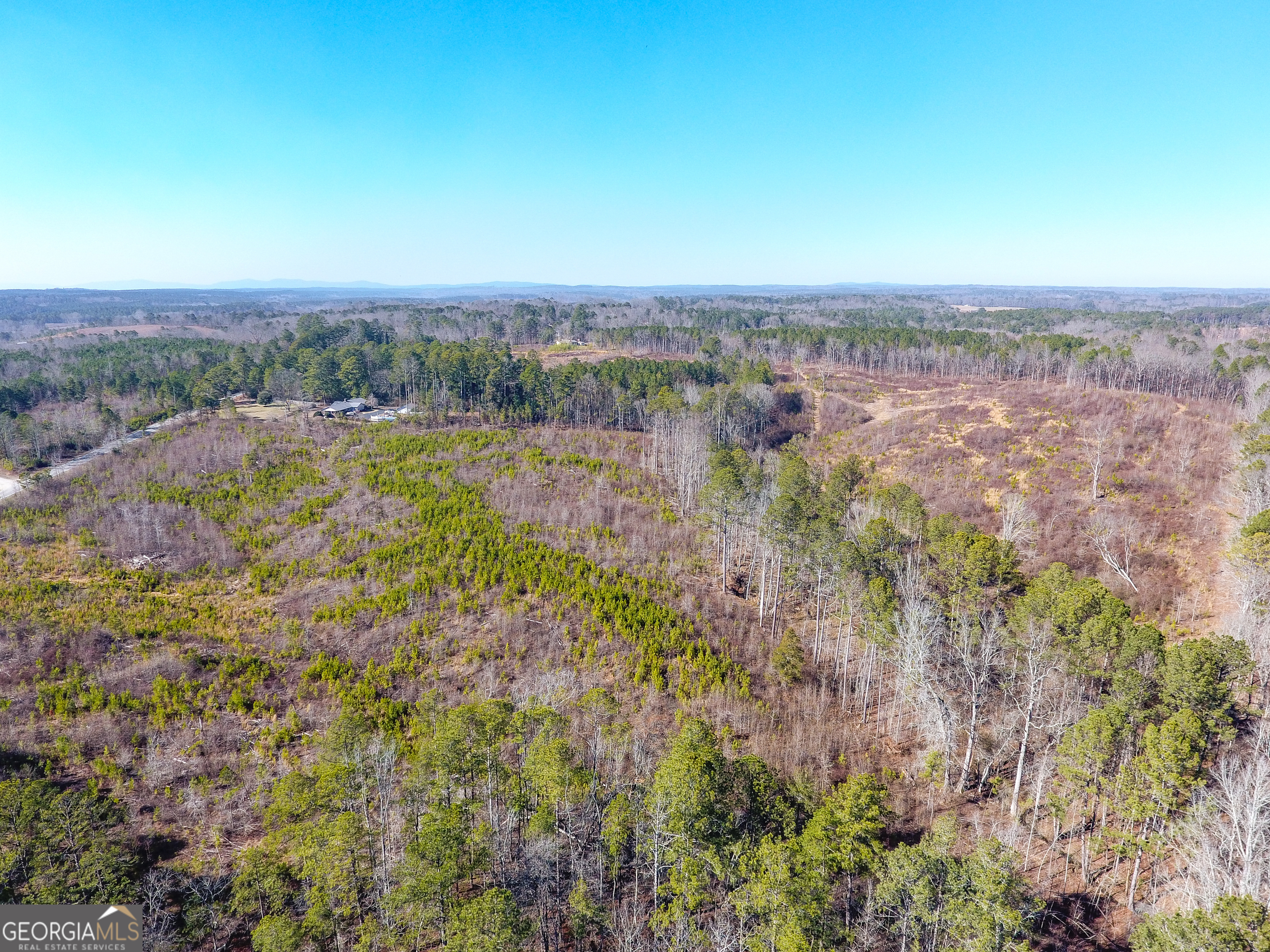 0 Steadman Road Tallapoosa, GA 30176 - Photo 1 of 42 an aerial view of house with yard and mountain in the background