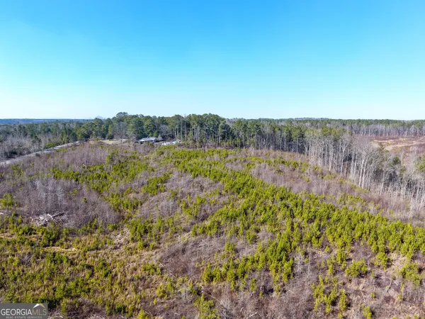 a view of mountain and tree