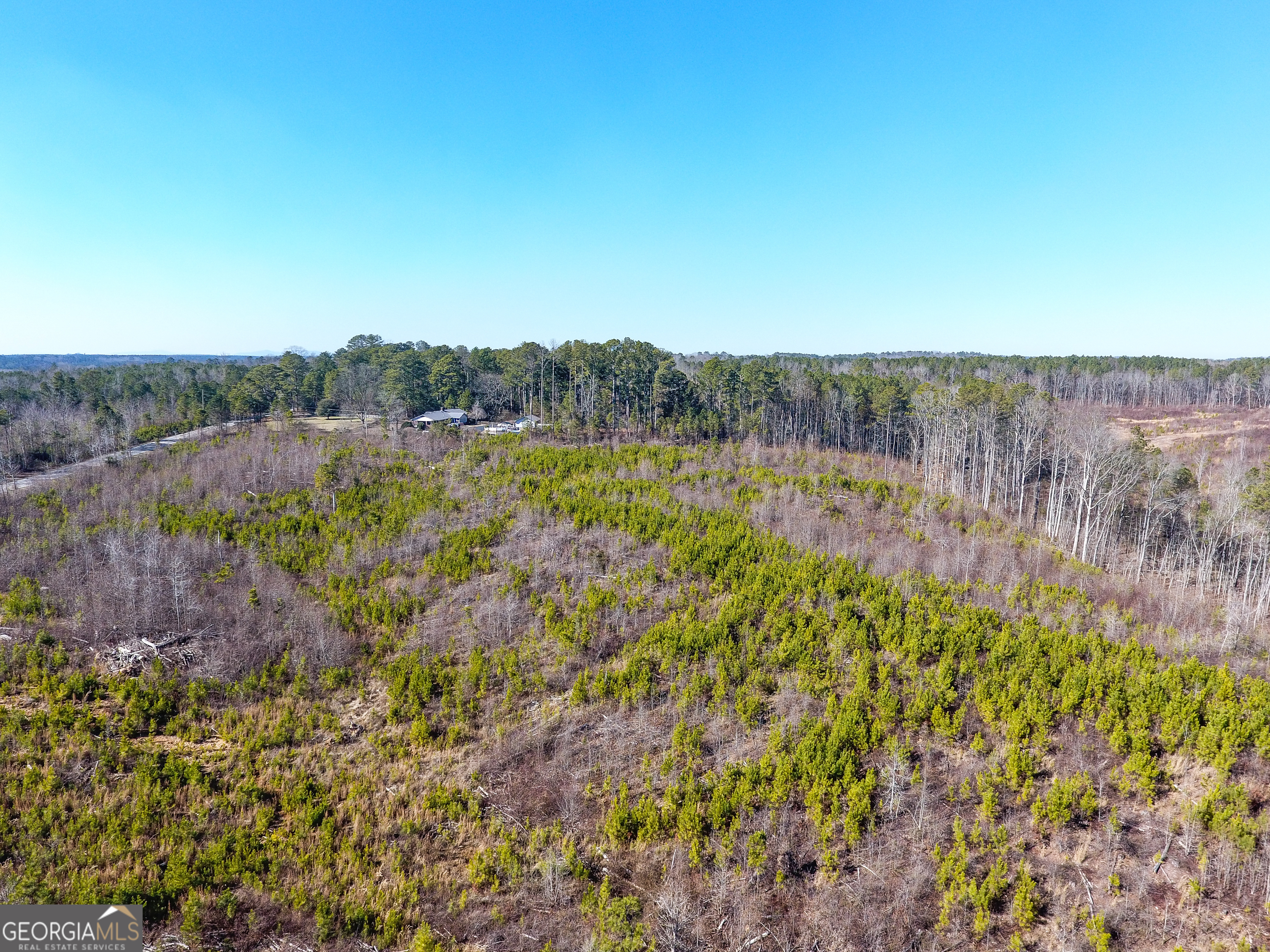0 Steadman Road Tallapoosa, GA 30176 - Photo 11 of 42 a view of mountain and tree