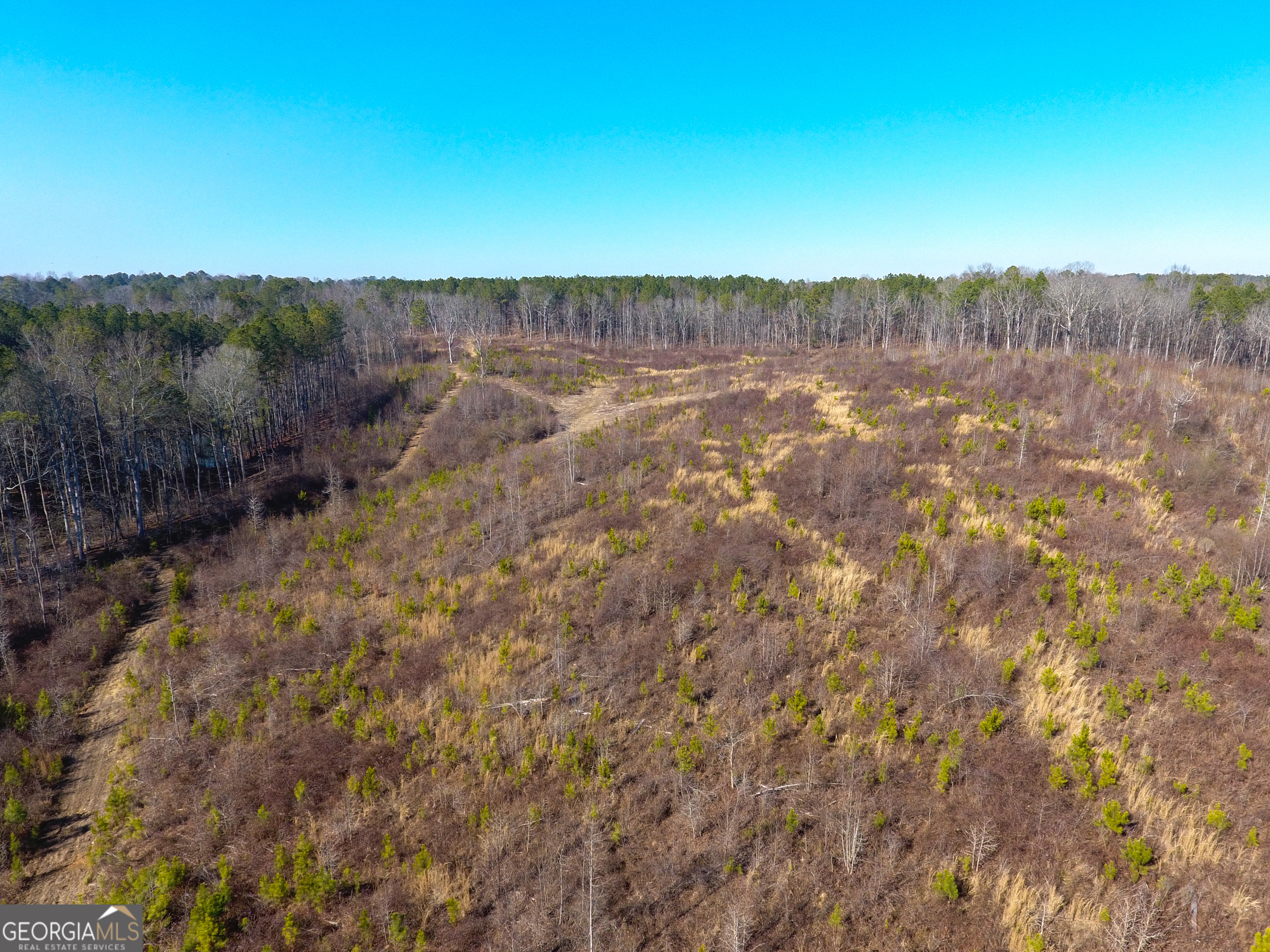 0 Steadman Road Tallapoosa, GA 30176 - Photo 12 of 42 a view of a dry yard with green space