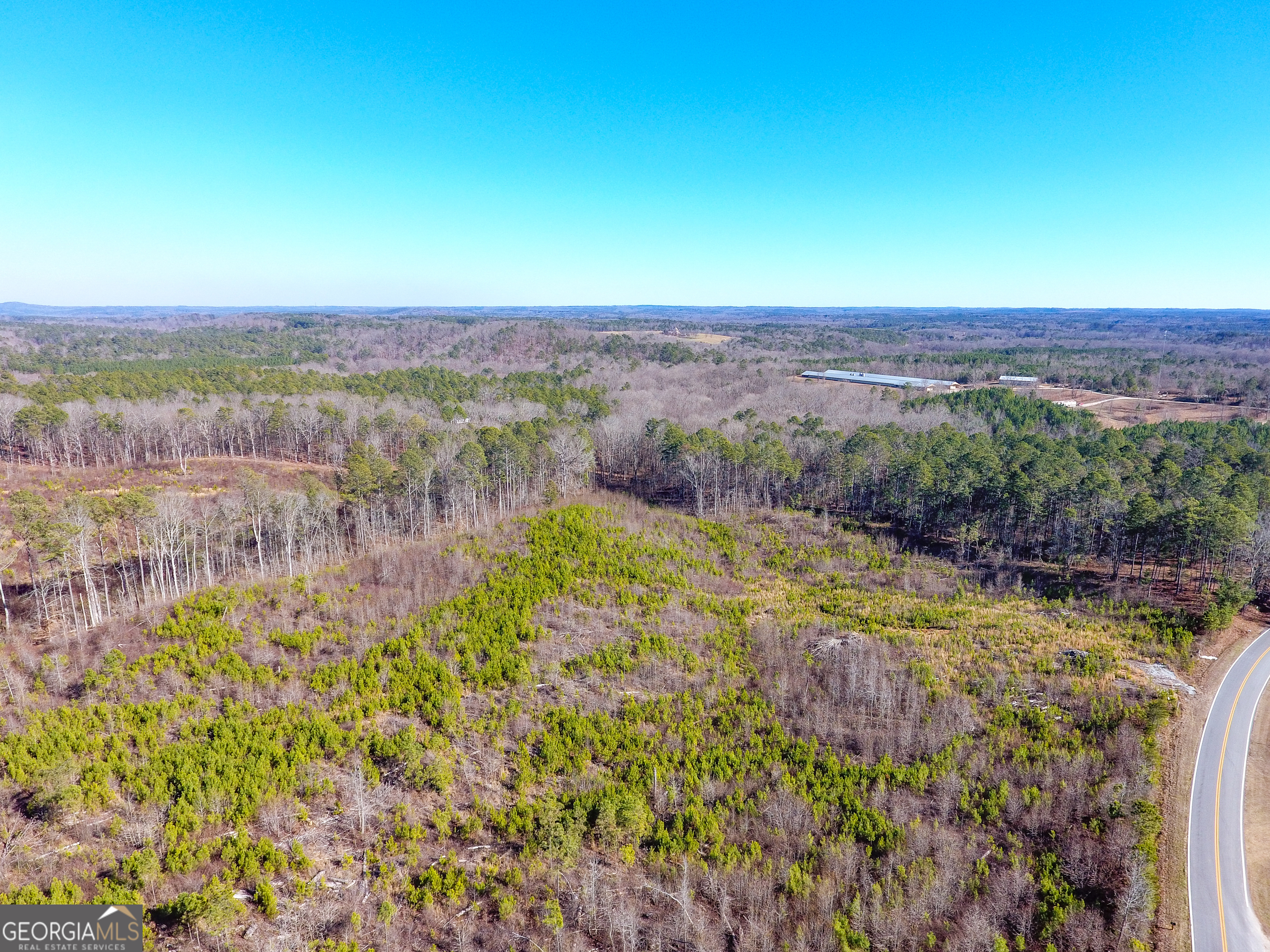0 Steadman Road Tallapoosa, GA 30176 - Photo 15 of 42 a view of a lake with a mountain in the background