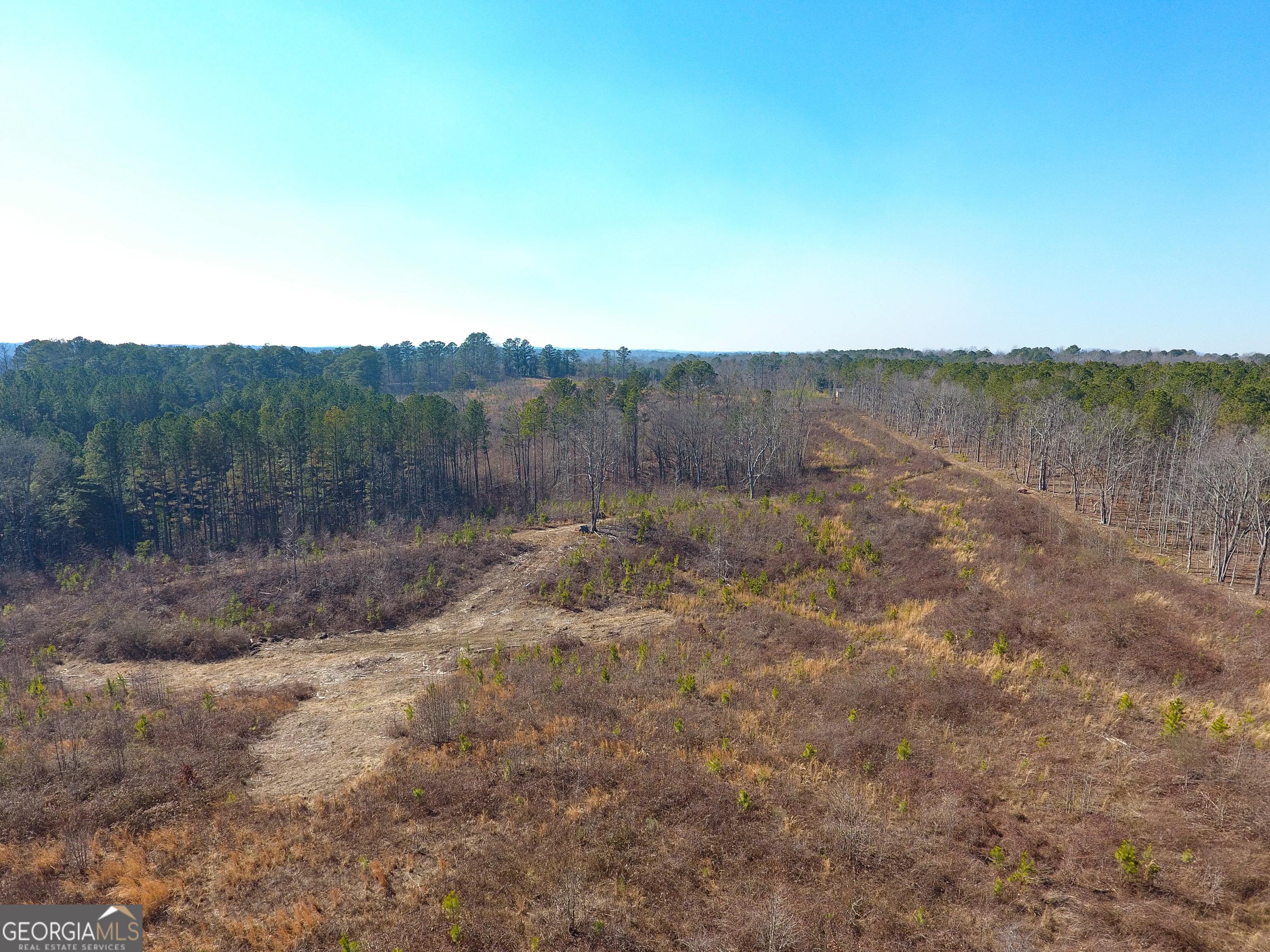 0 Steadman Road Tallapoosa, GA 30176 - Photo 17 of 42 a view of a lake with mountains in the background