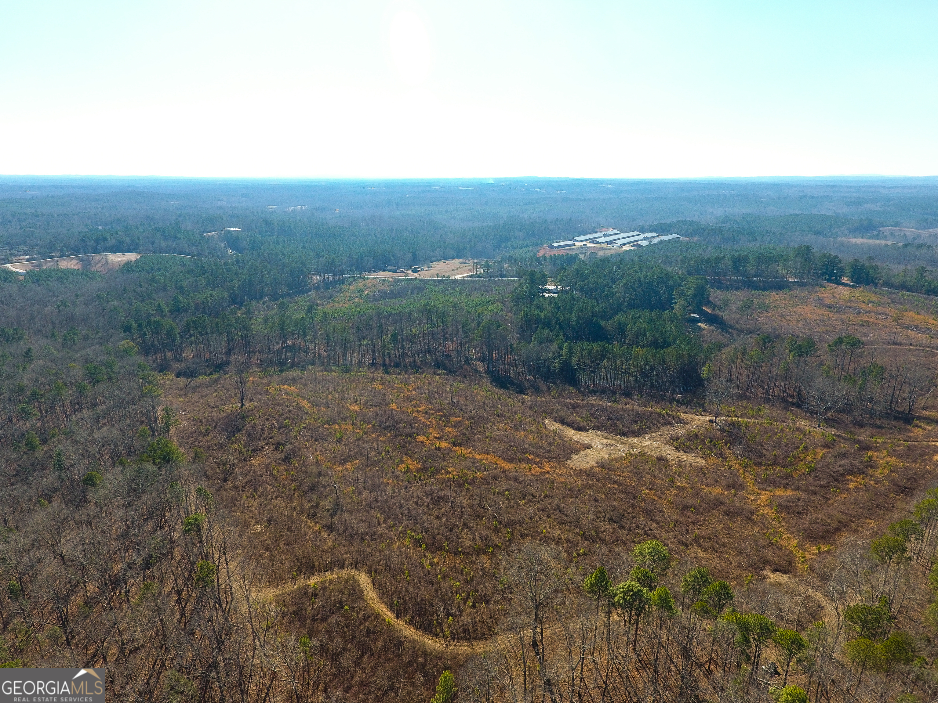 0 Steadman Road Tallapoosa, GA 30176 - Photo 18 of 42 a view of a field with an ocean