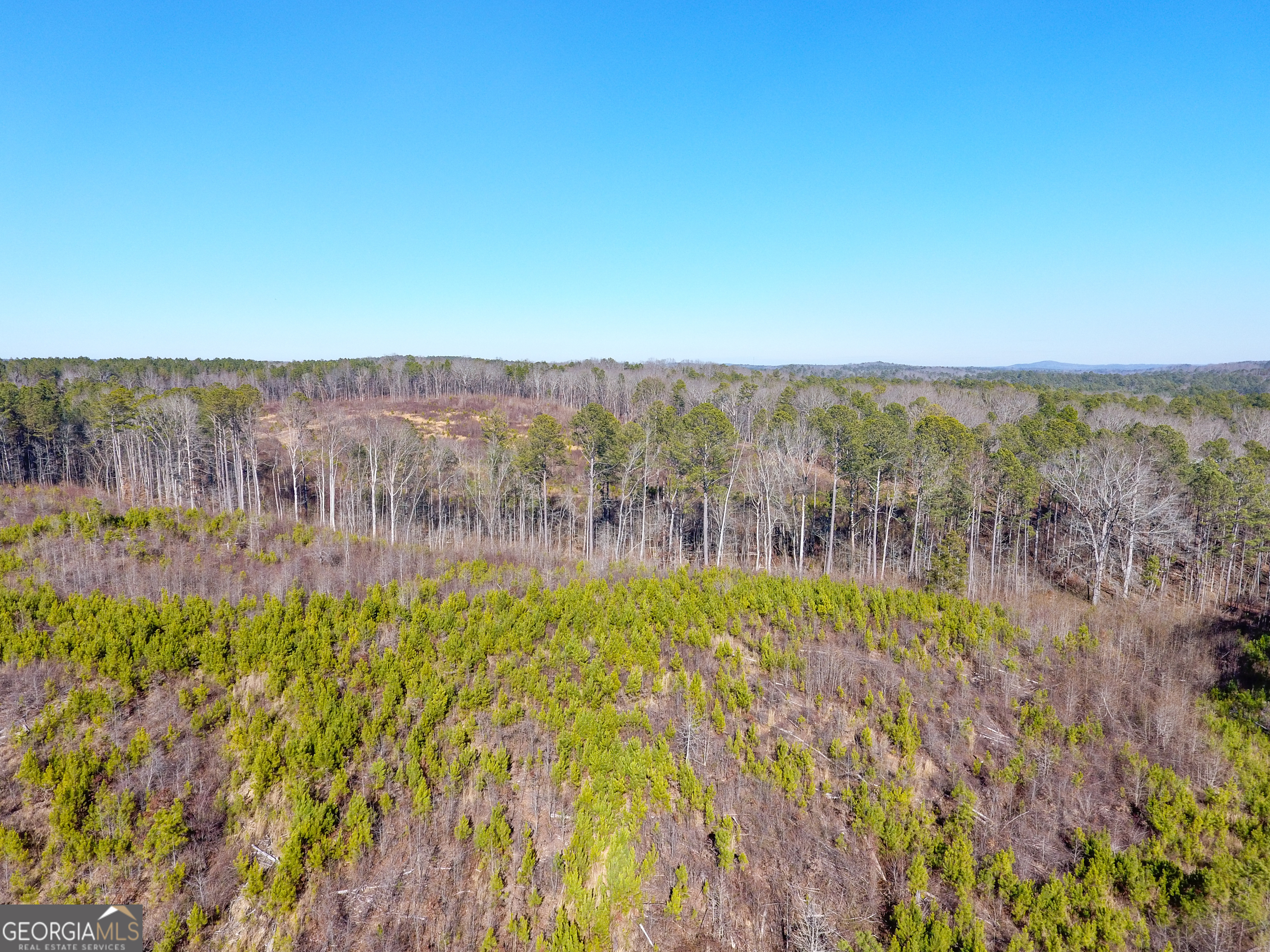 0 Steadman Road Tallapoosa, GA 30176 - Photo 2 of 42 a view of lake and mountain