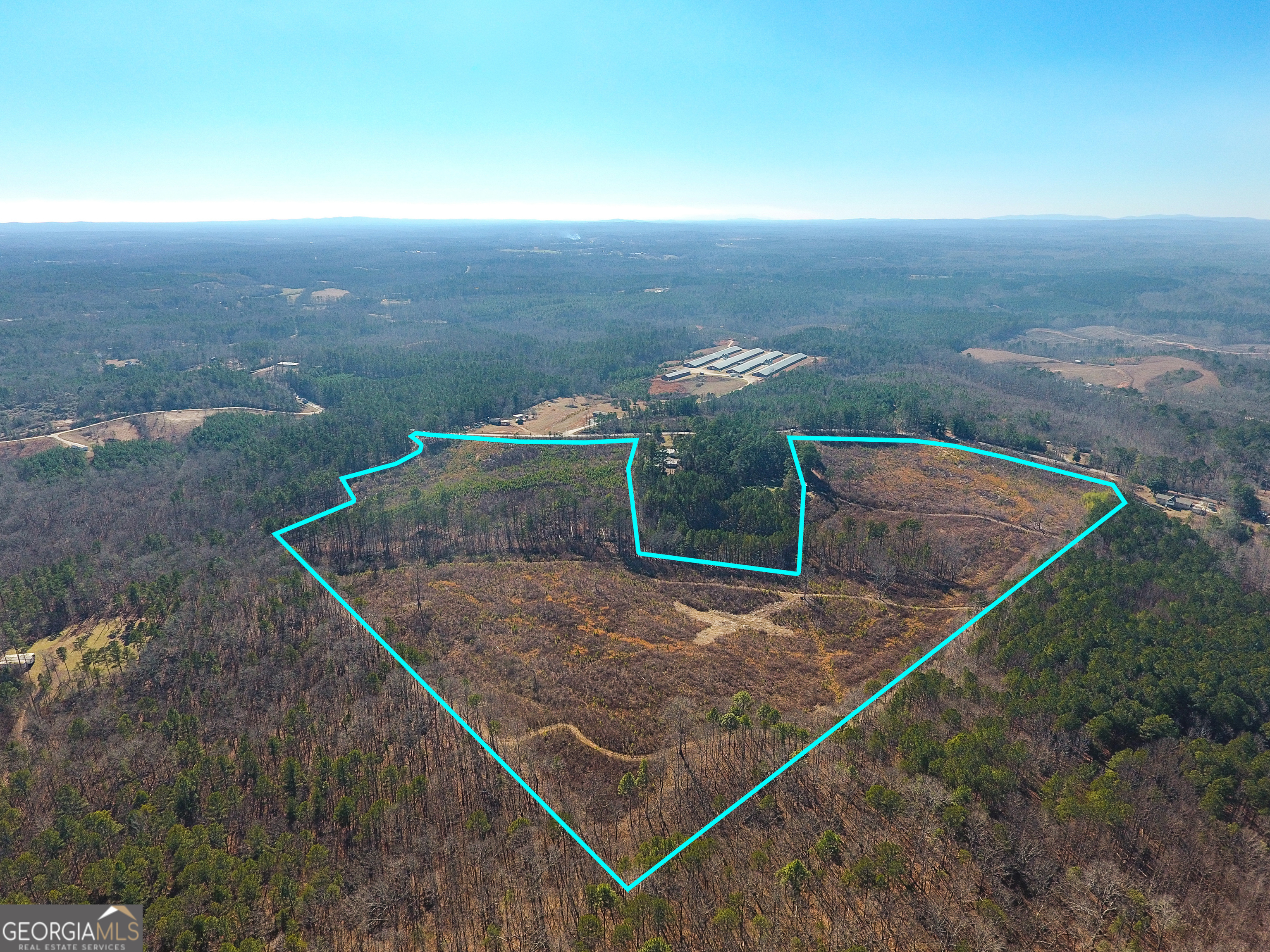 0 Steadman Road Tallapoosa, GA 30176 - Photo 21 of 42 a view of a backyard