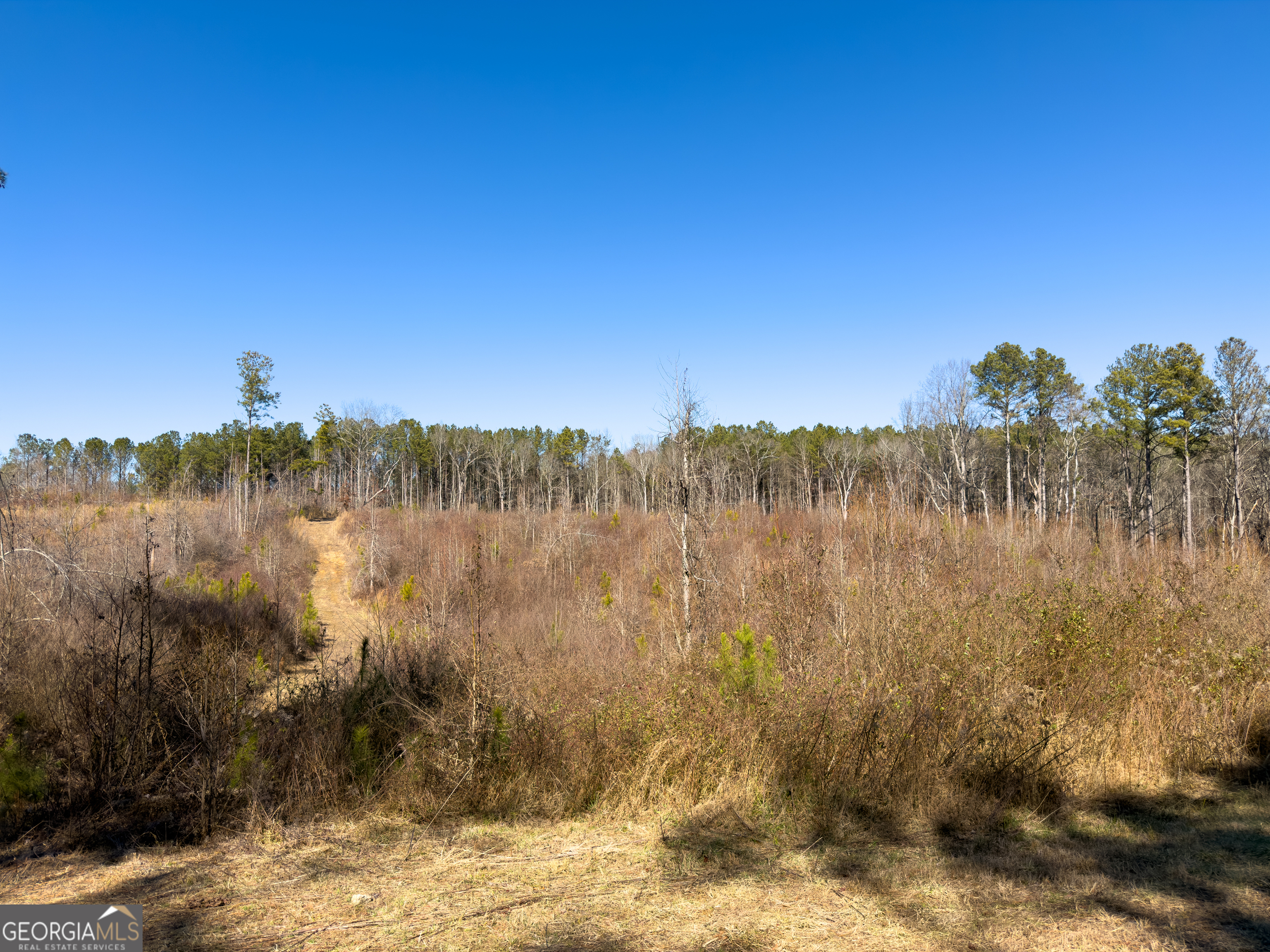 0 Steadman Road Tallapoosa, GA 30176 - Photo 25 of 42 a view of lake with green space