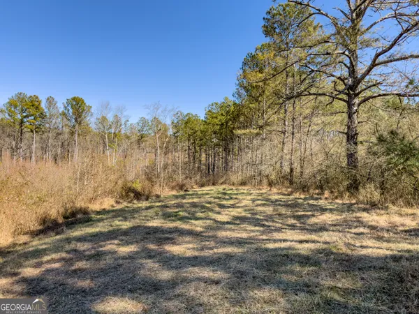 a view of a backyard of the house