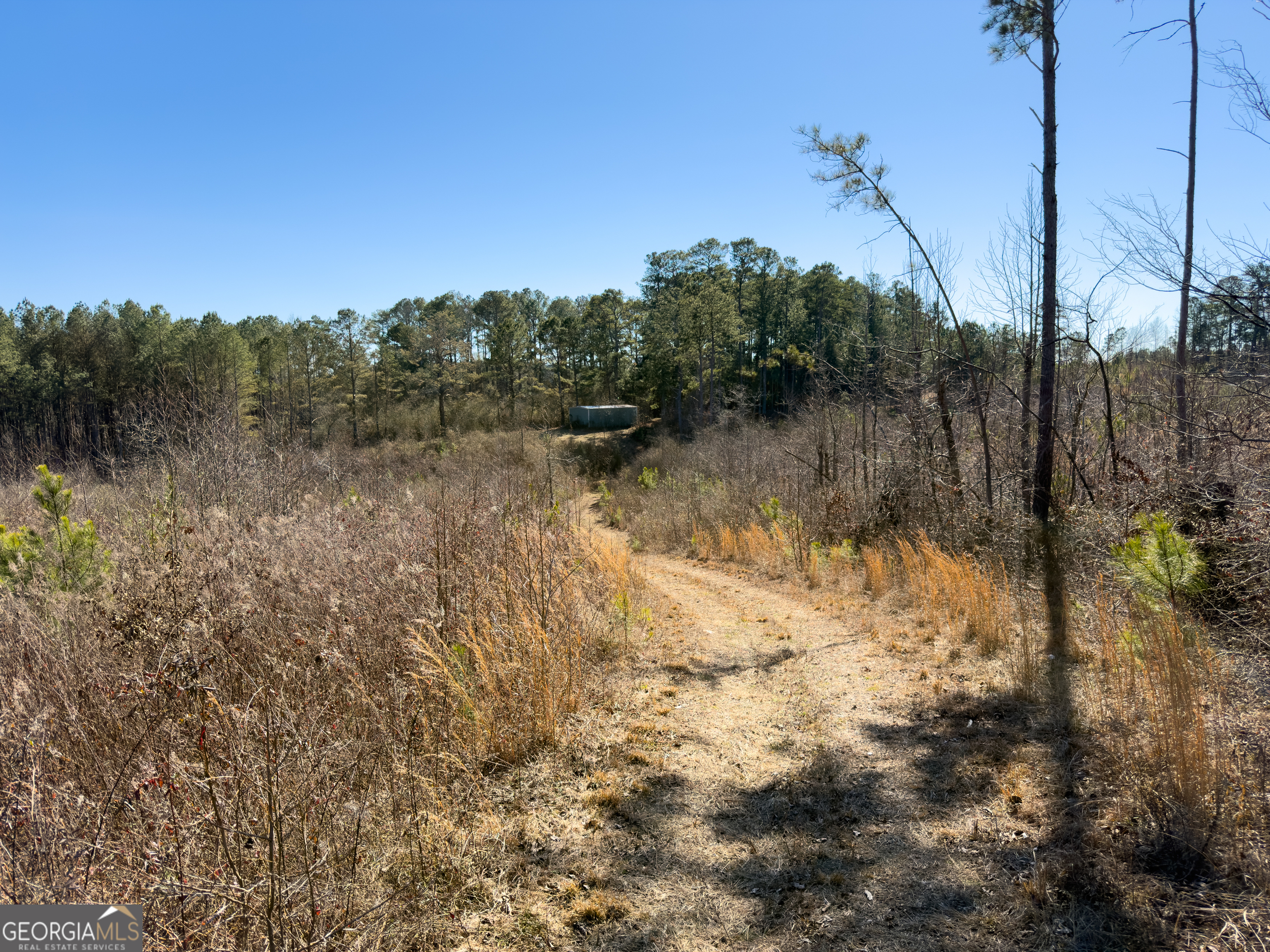 0 Steadman Road Tallapoosa, GA 30176 - Photo 28 of 42 a view of a lake
