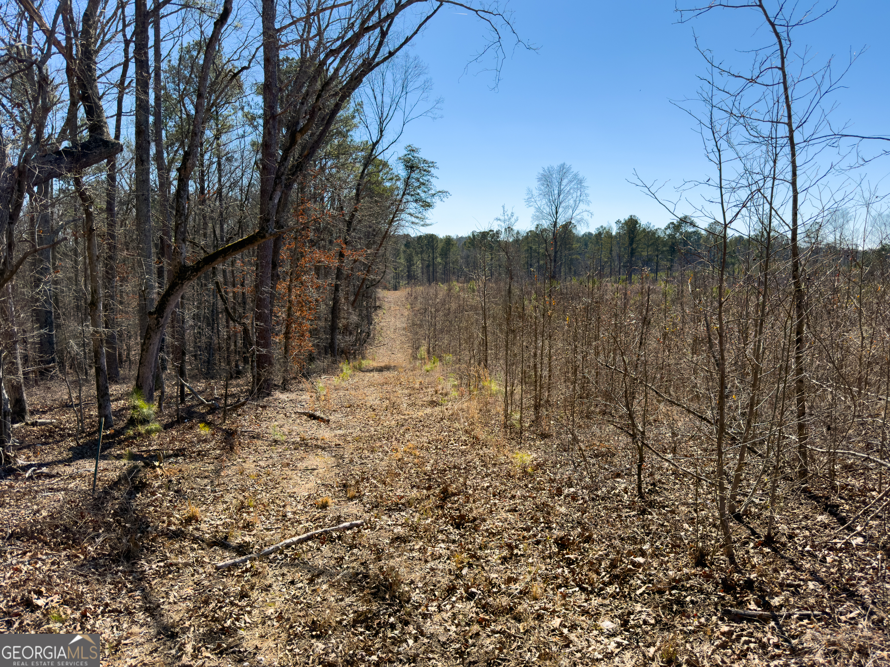 0 Steadman Road Tallapoosa, GA 30176 - Photo 30 of 42 a view of lake with a tree in the background