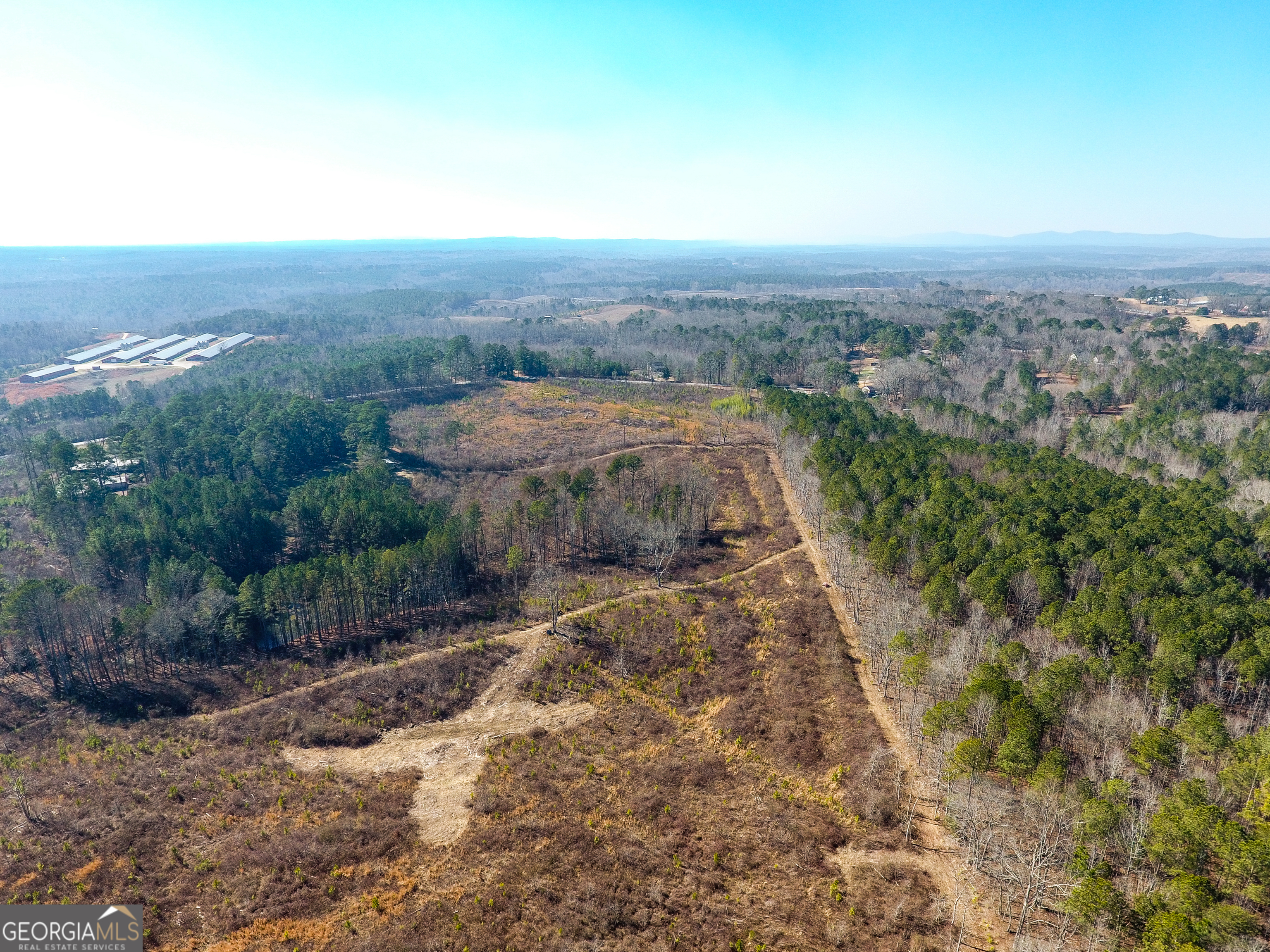 0 Steadman Road Tallapoosa, GA 30176 - Photo 3 of 42 an aerial view of multiple house