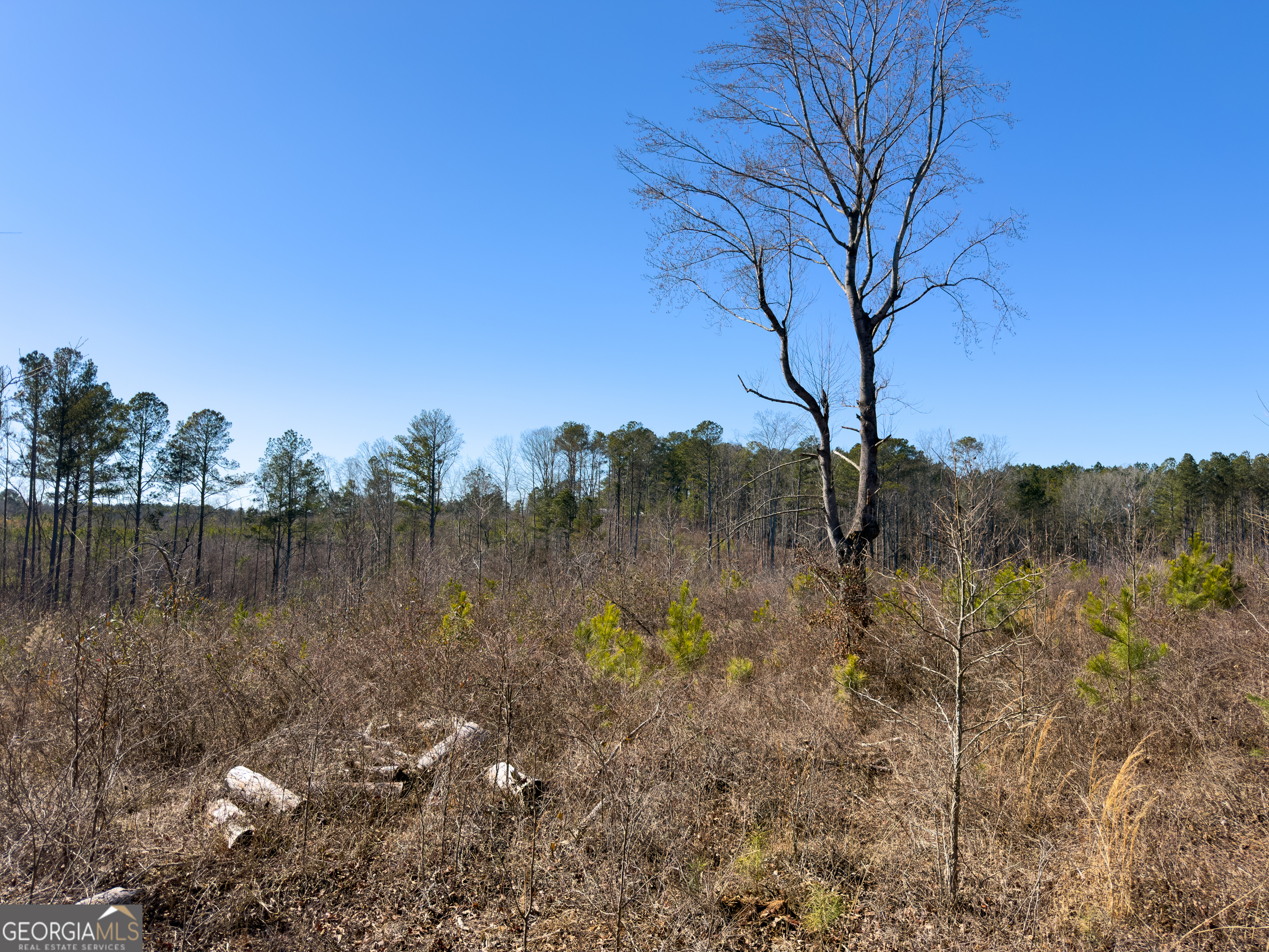 0 Steadman Road Tallapoosa, GA 30176 - Photo 31 of 42 a view of a lake from a yard
