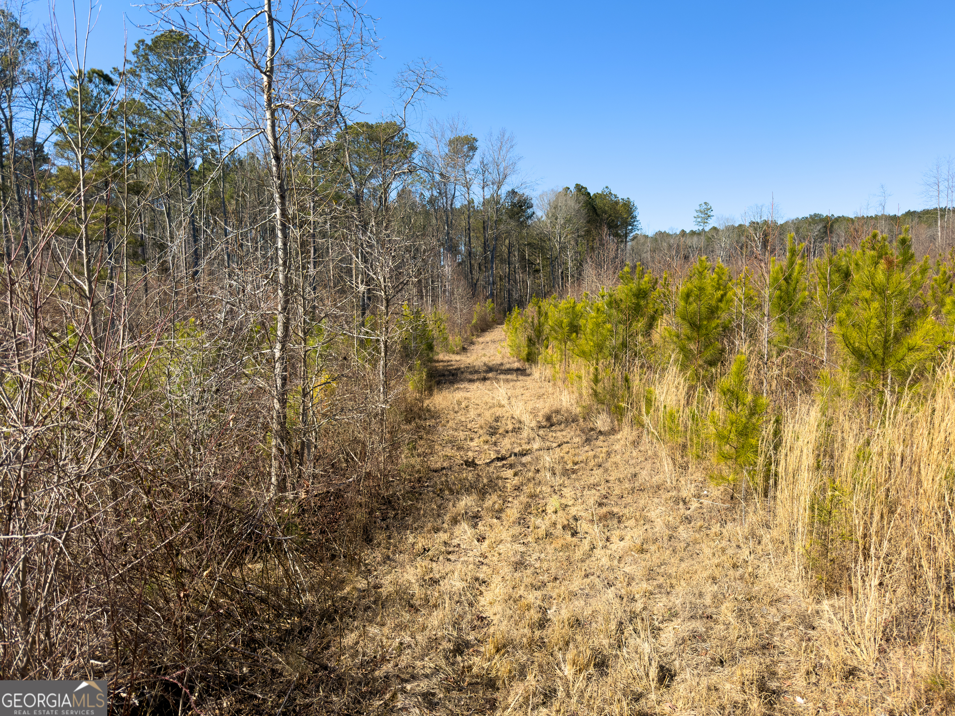 0 Steadman Road Tallapoosa, GA 30176 - Photo 32 of 42 a view of a dry yard with wooden fence