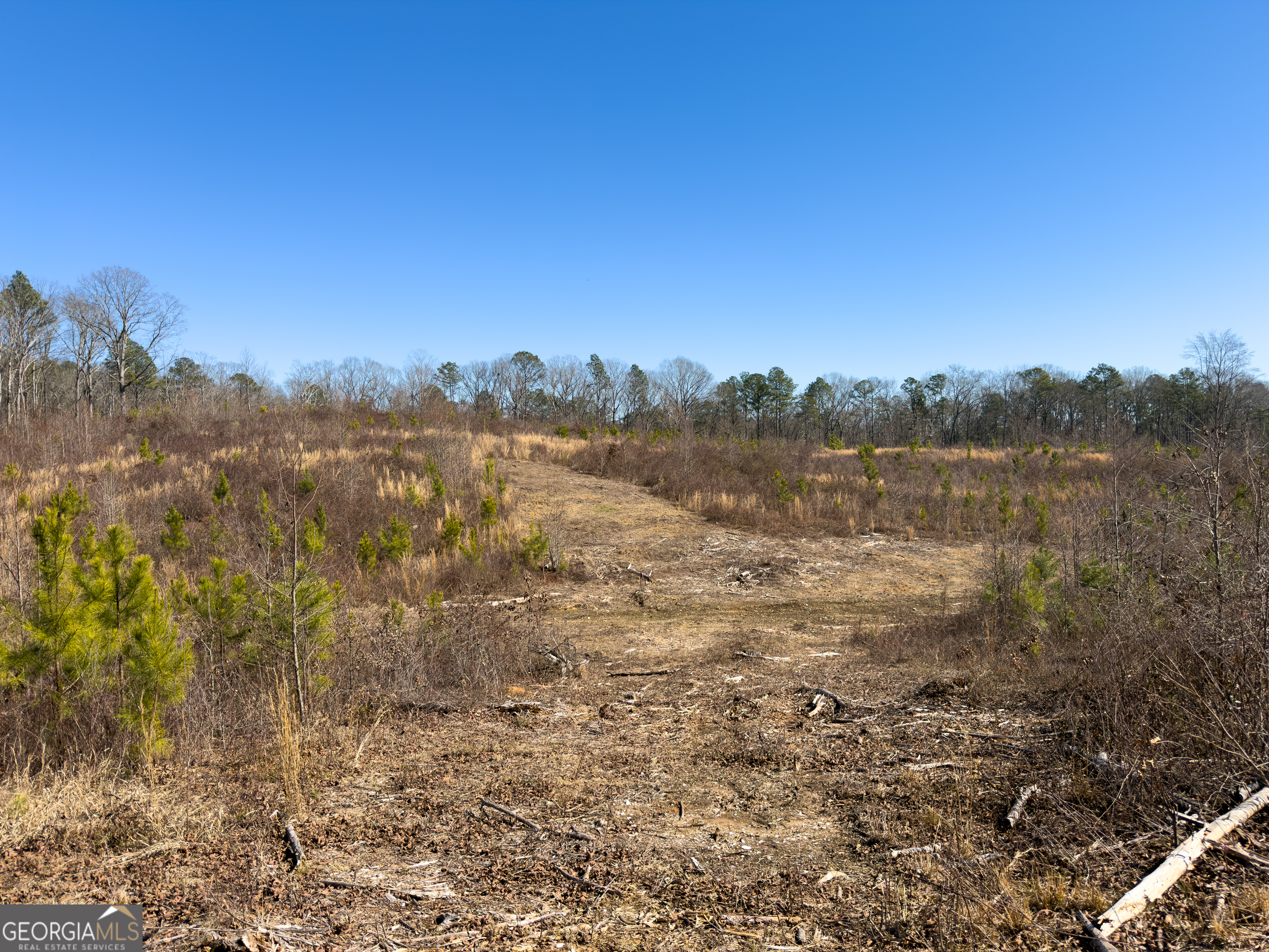0 Steadman Road Tallapoosa, GA 30176 - Photo 33 of 42 a view of a yard with a tree in the background