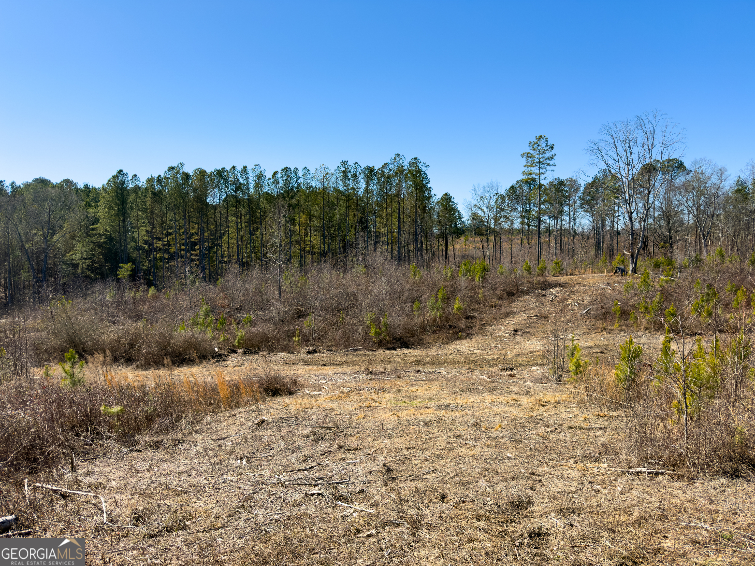 0 Steadman Road Tallapoosa, GA 30176 - Photo 34 of 42 a view of a lake view