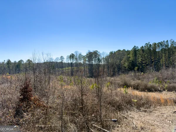 a view of lake with green space