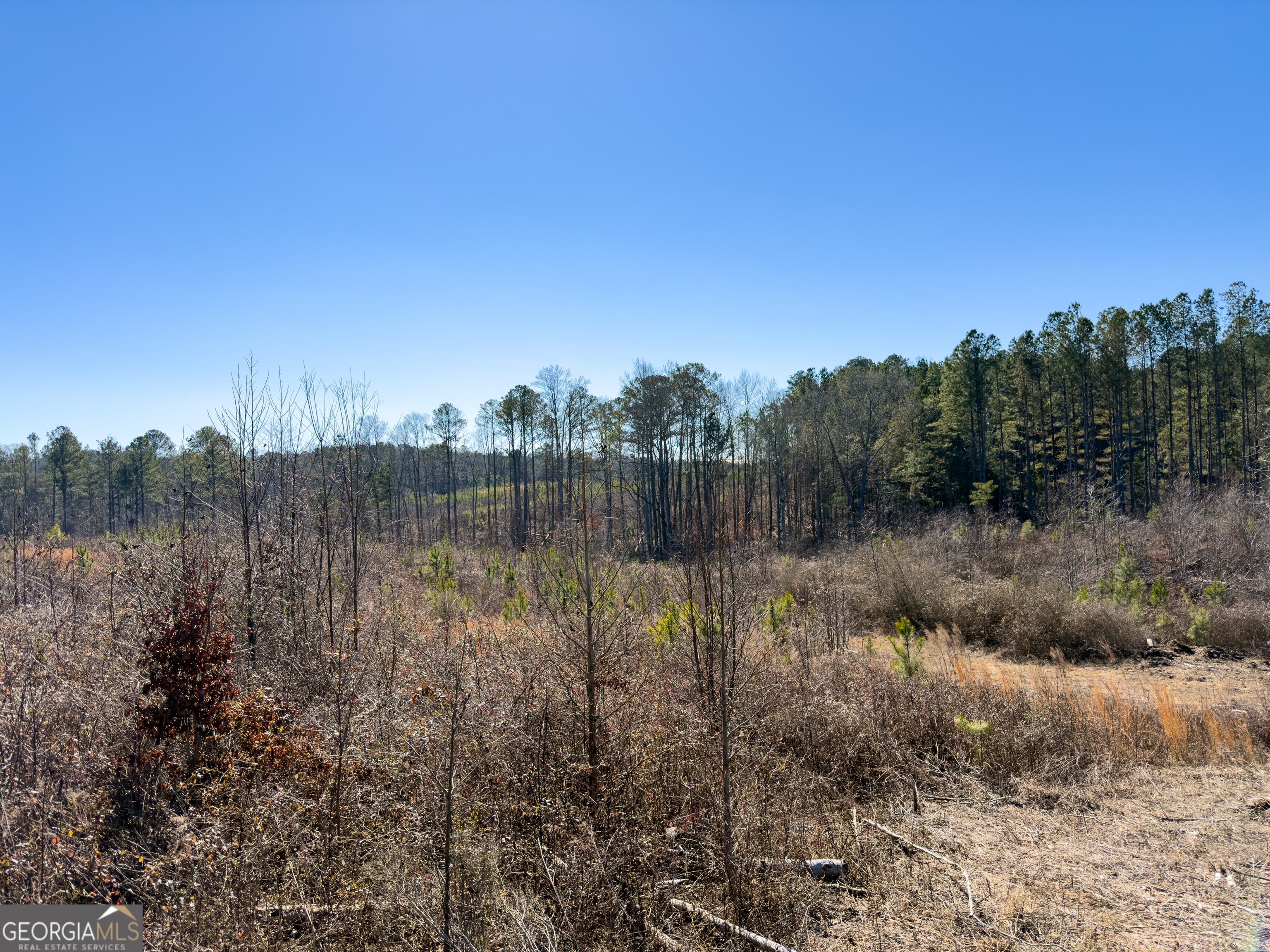0 Steadman Road Tallapoosa, GA 30176 - Photo 36 of 42 a view of lake with green space