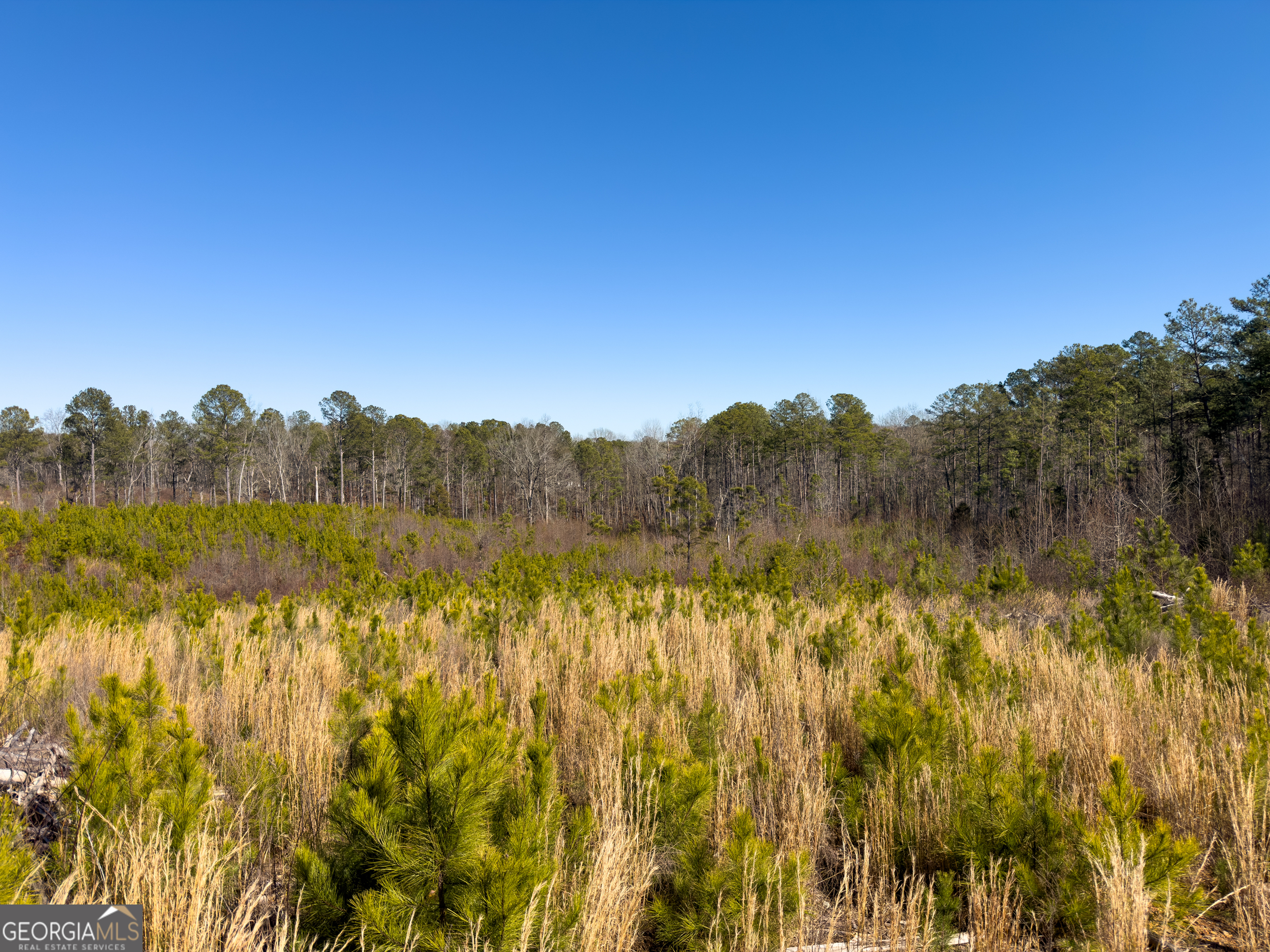0 Steadman Road Tallapoosa, GA 30176 - Photo 37 of 42 a view of mountain with lake in background